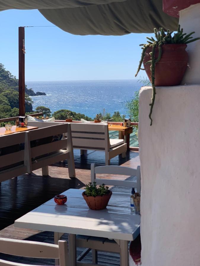 Bamboo Bungalow With Sea View In Kabak Bay, Oeluedeniz 페티예 외부 사진